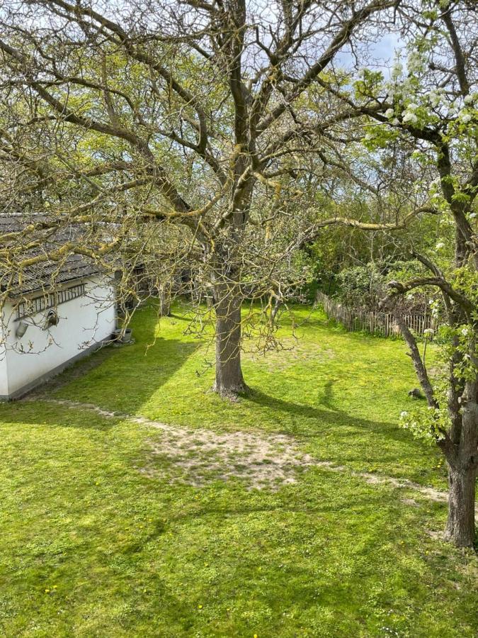 Kleines Haus Am Feld Villa Rehna Exterior photo