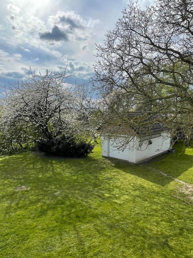 Kleines Haus Am Feld Villa Rehna Exterior photo